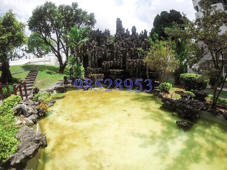 Far Horizon Garden (D20), Condominium #151845862